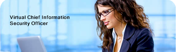 virtual CISO